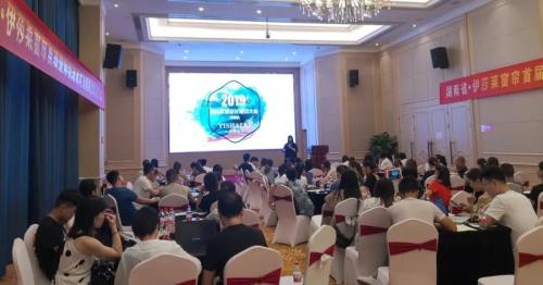 2019黄瓜成视频人APP整体软装设计方案输出培训